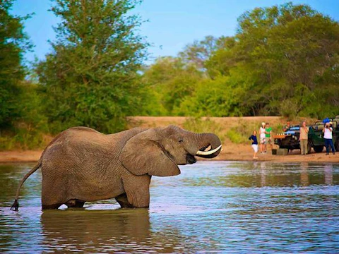 nThambo Tree Camp Waterhole