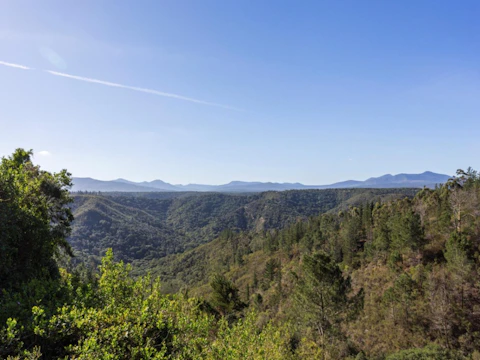 Forest Valley Cottages Views