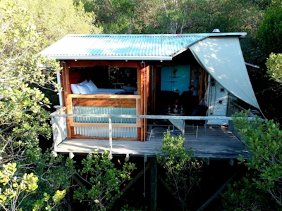 Moonshine on Whiskey Creek Forest Cabin