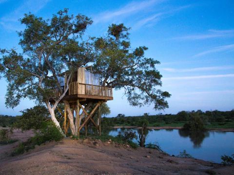 Umlani Bush Camp Hide