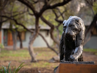 Simbavati Camp George Sculpture