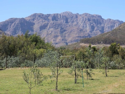 La Ferme Mountain View