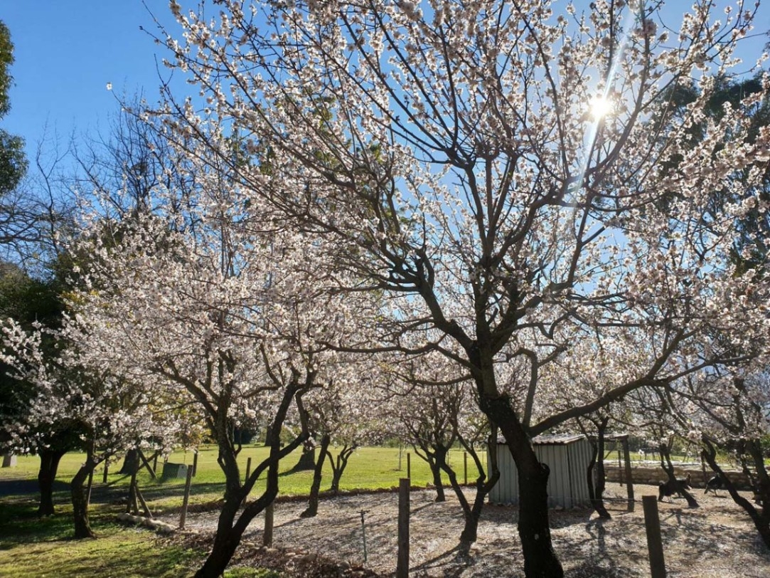 La Ferme Gardens