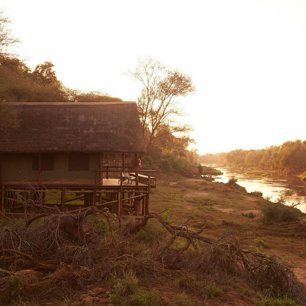 RETURN Africa Pafuri Tented Camp Suite