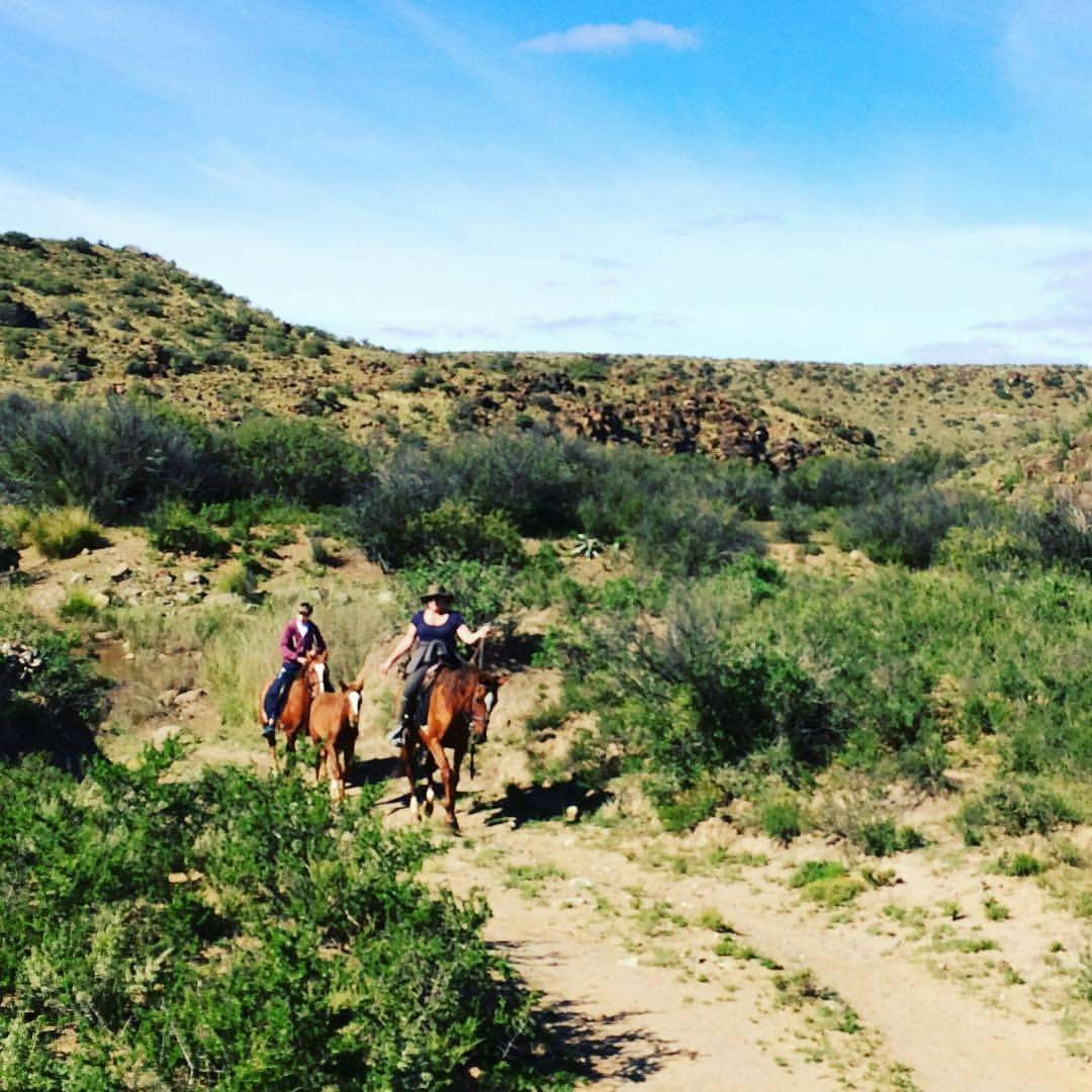 Karoo Ridge Eco-Lodges Horse Riding