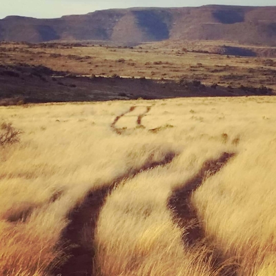 Karoo Ridge Eco-Lodges Grasslands