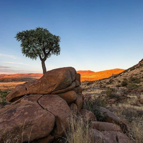 Karoo Ridge Eco-Lodges Setting