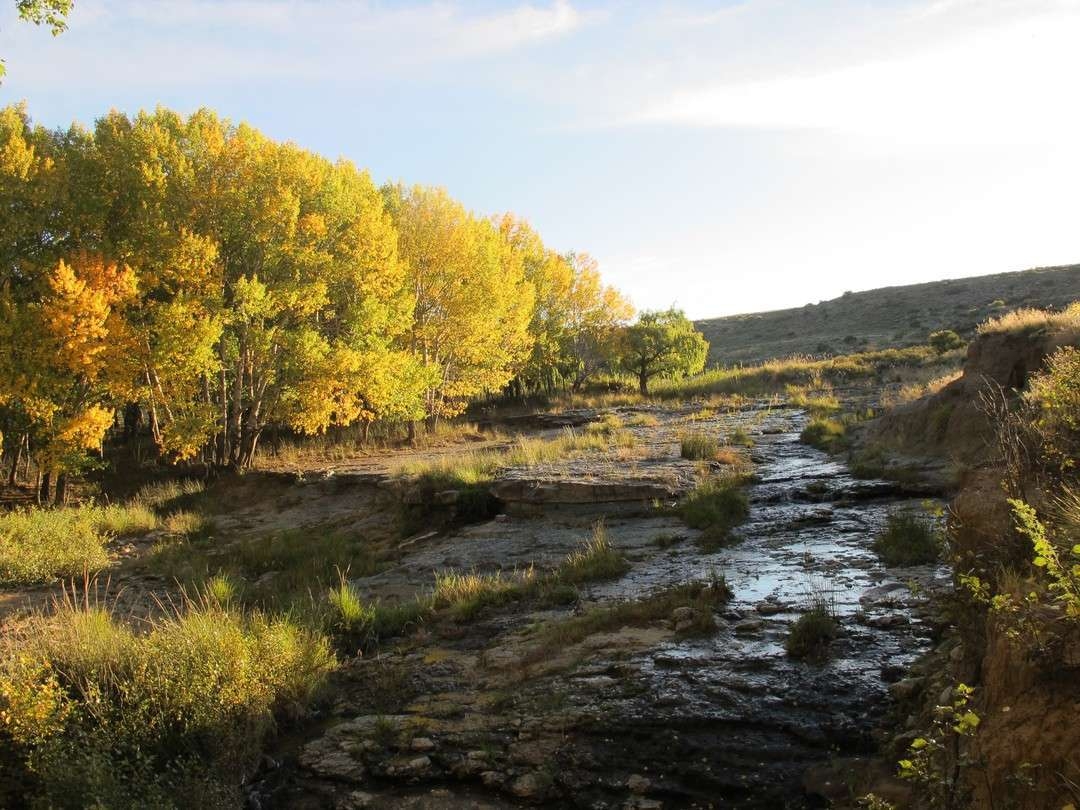 Poplars Farmhouse Stream