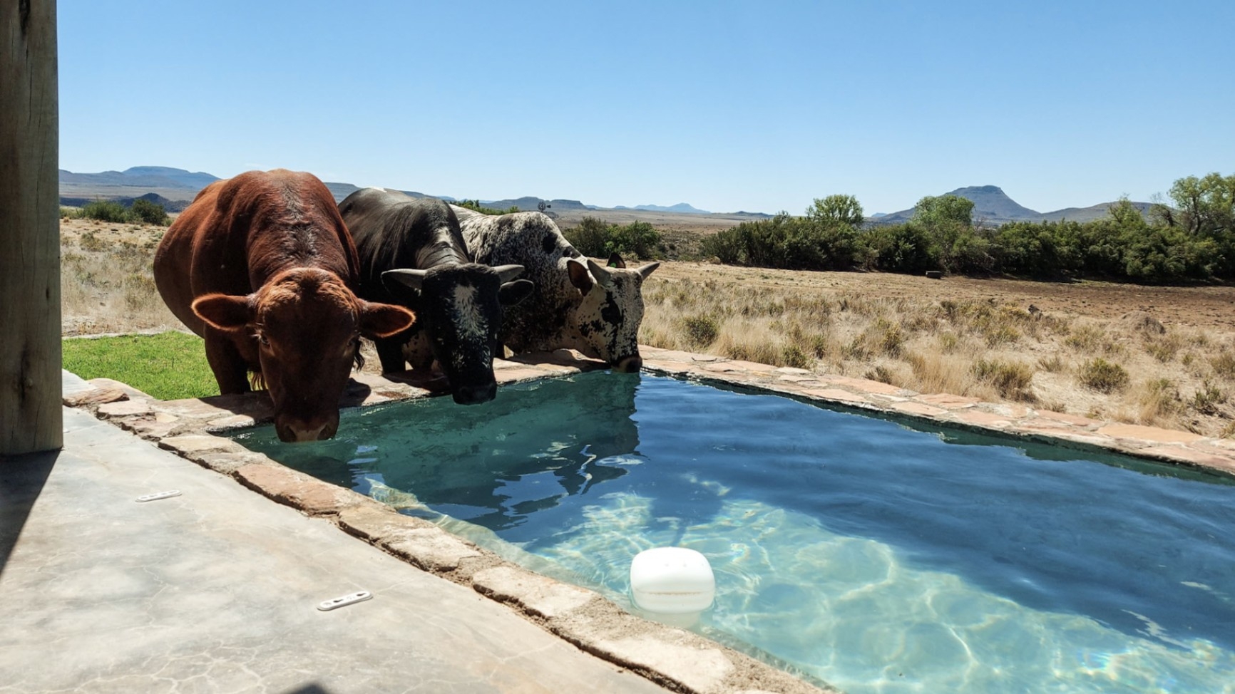 Karoo Ridge Eco-Lodges Farm