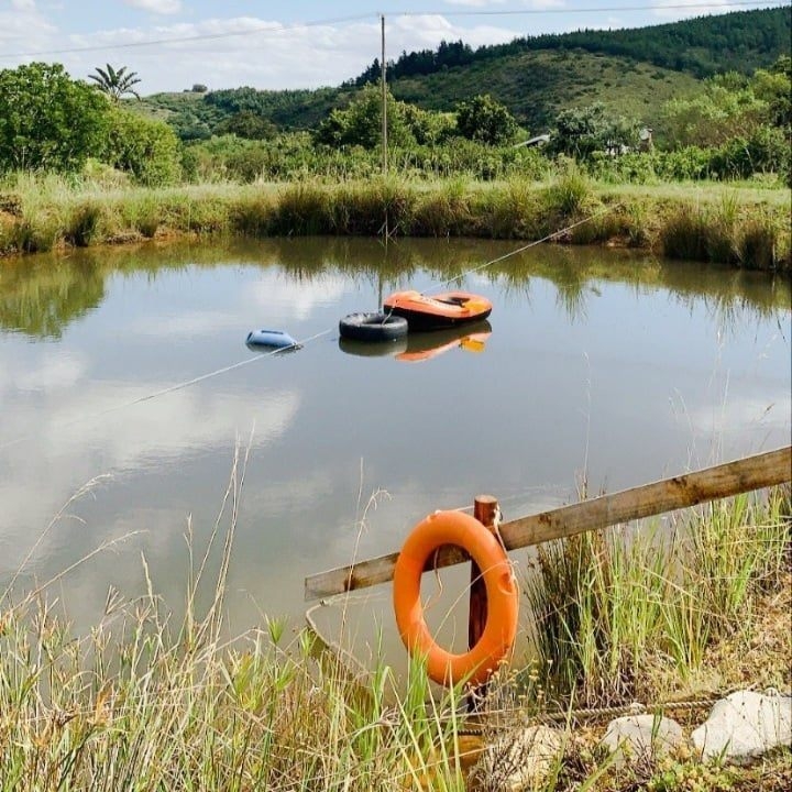 The EcoTreehouse Dam