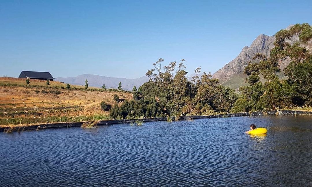 Summer days spent by the dam on Camissa Farm in the Cape Winelands, Western Cape