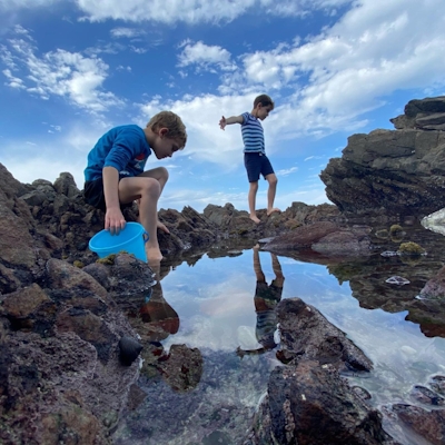 Marlin Manor Rockpools