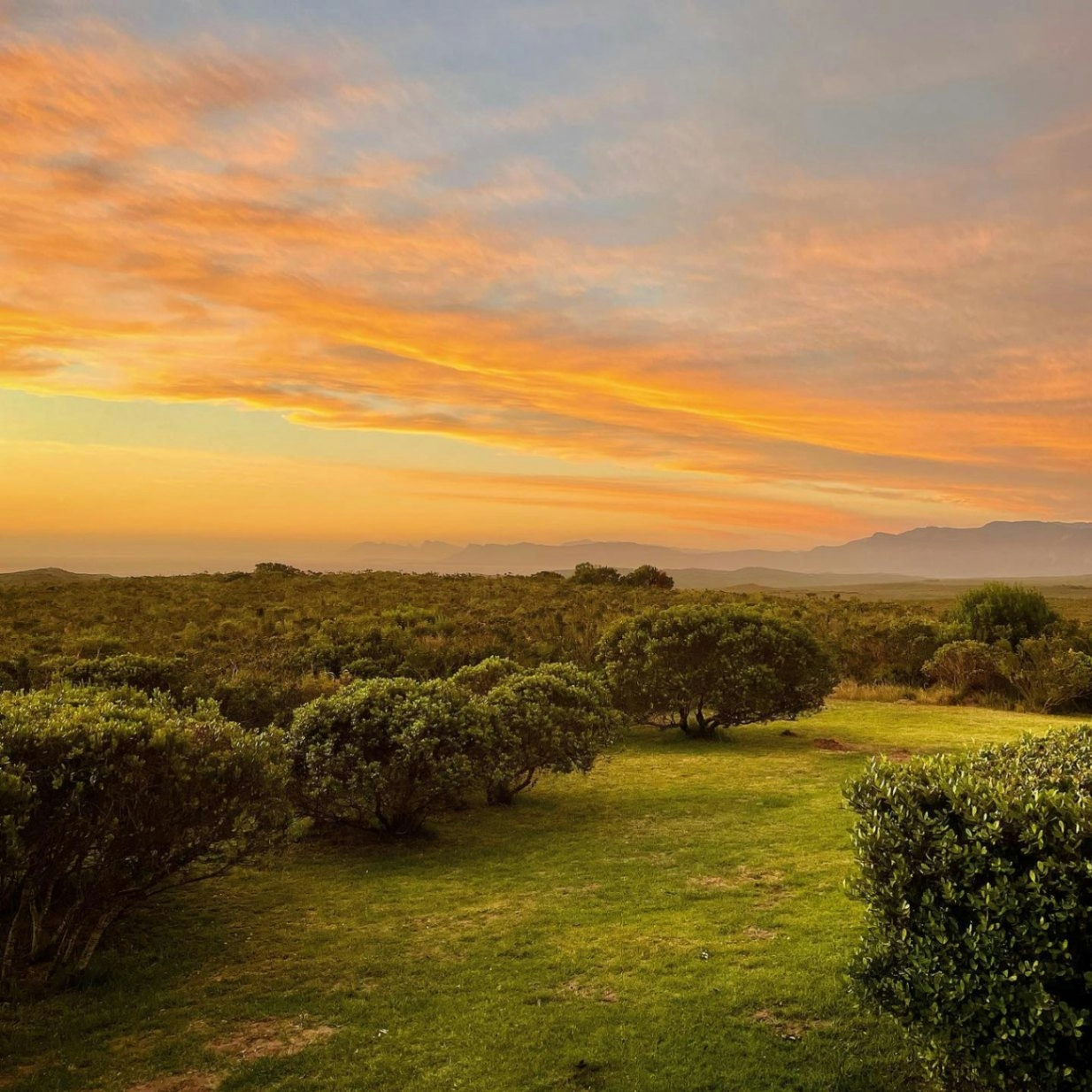 Fairhill Guest House & Nature Reserve Sunset