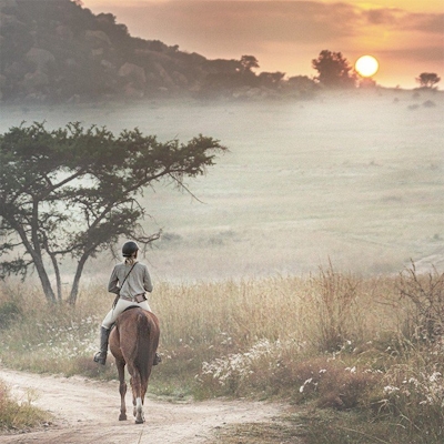 Nkomazi Game Reserve Horse Riding