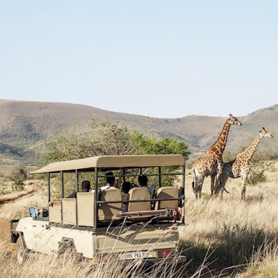 Nkomazi Game Reserve Safari