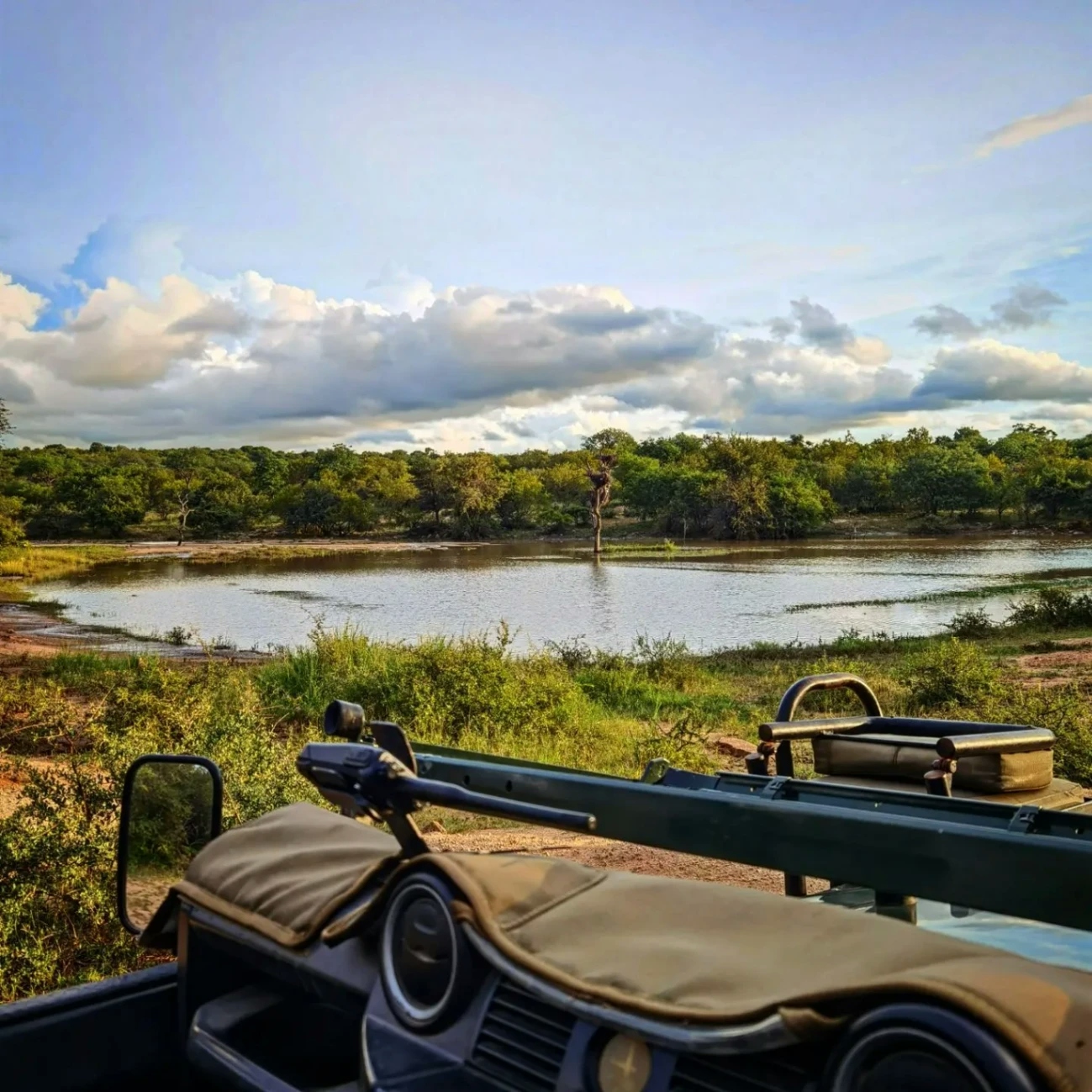 Rukiya Safari Camp Game Drives