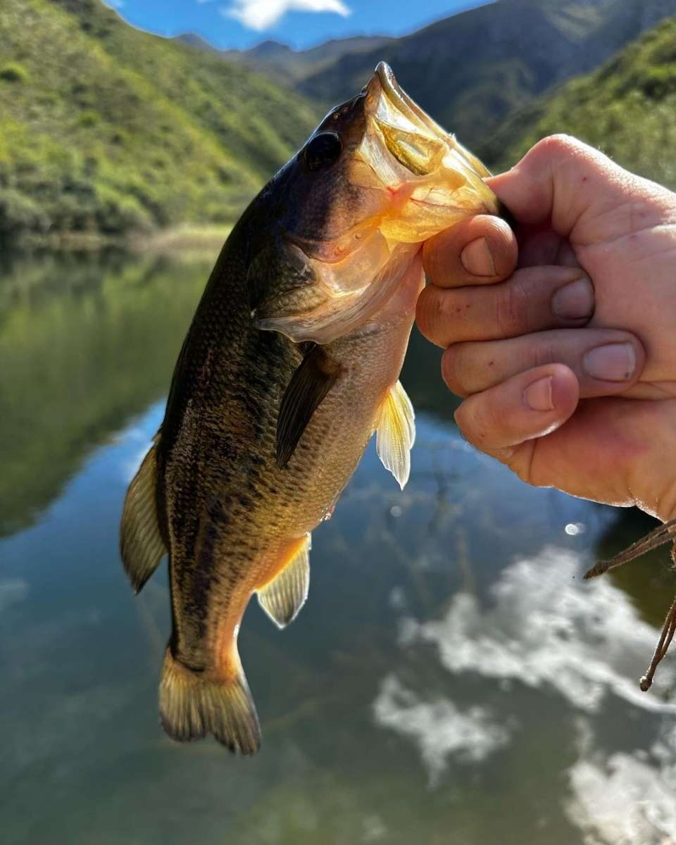  AfriCamps Pat Busch Fishing