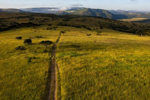 Babanango Valley Lodge