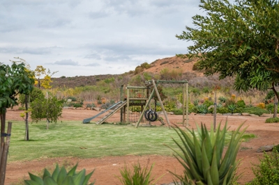 Fossil Hills Playground