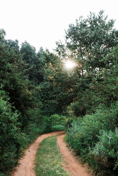 Zwakala River Retreat Trails