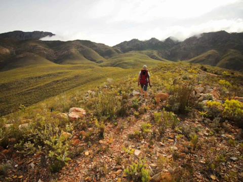 Starry Starry Night Hiking Trails