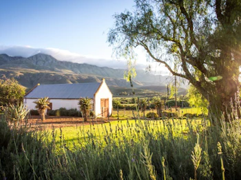 Swartberg Country Manor Setting