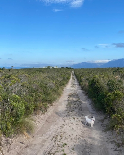 Fairhill Guest House & Nature Reserve Walks