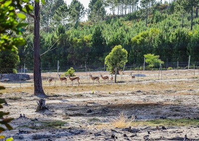 Otium Oasis Views