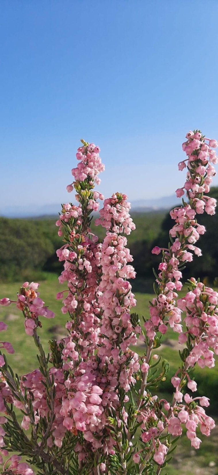 Fairhill Guest House and Nature Reserve