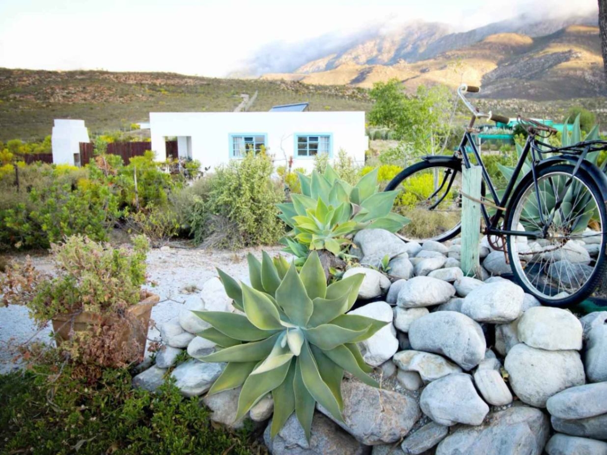 Starry Starry Night Accommodation