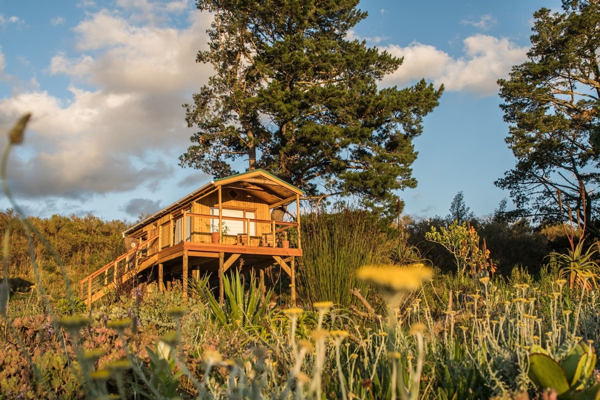 The EcoTreehouse Swellendam