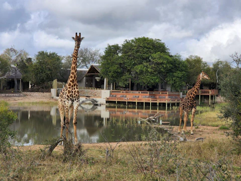 Simbavati Waterside Setting