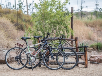 Fossil Hills Mountain Biking