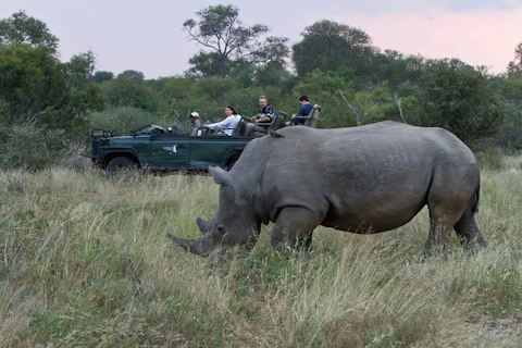 Africa on Foot Game Viewing