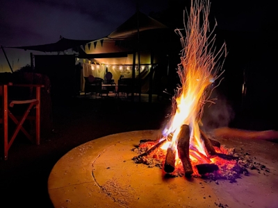  The Leadwood Safari Company Fire Pit