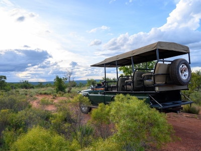 Bontle Lodge Game Drives