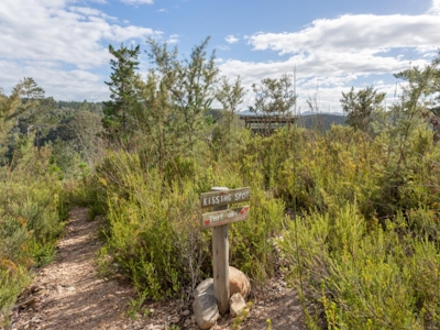 Forest Valley Cottages Hiking Trail