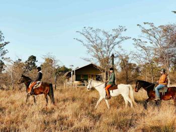 AfriCamps Waterberg Horse Riding Safari