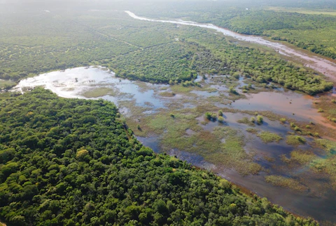 Hluhluwe Bush Camp Surrounds