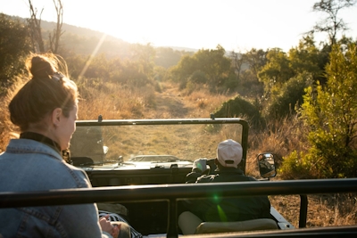 Zebras Crossing Game Drives