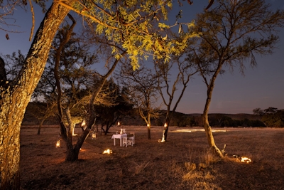 Zebras Crossing Dining