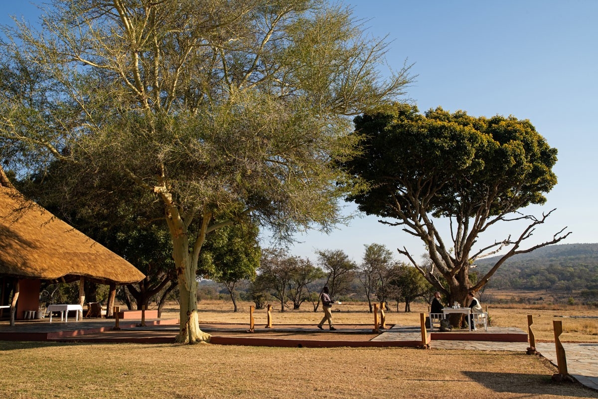 Zebras Crossing Setting