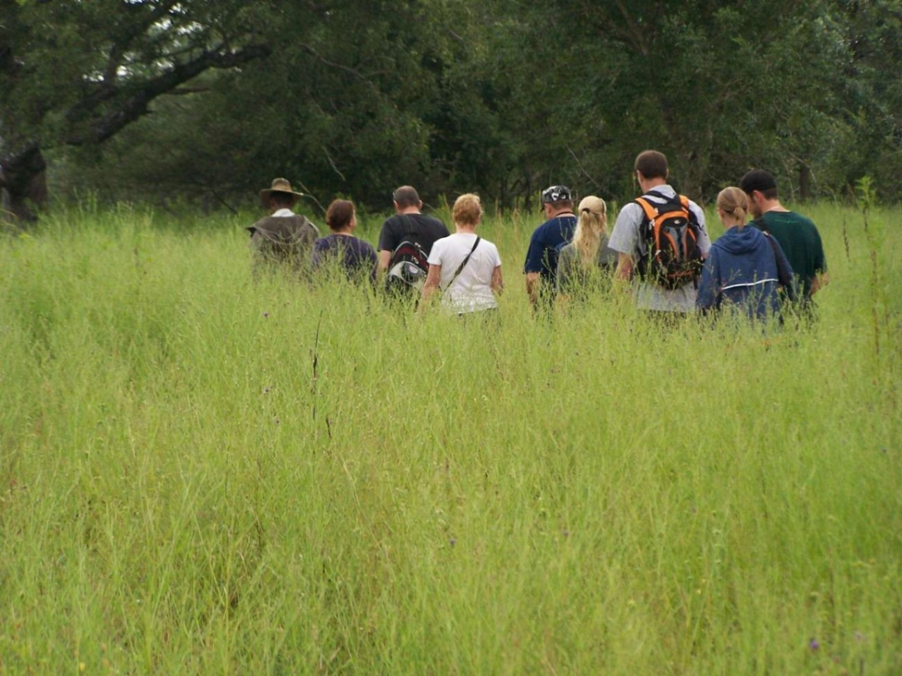 Thornhill Safari Lodge Guided Bush Walks