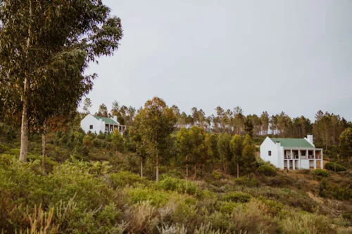 Featured Location