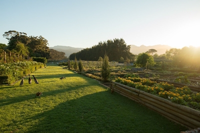 Boschendal Cow Shed Cottage Surroundings