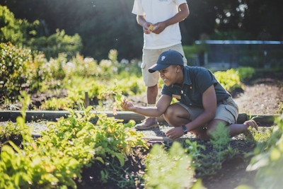 Boschendal Cow Shed Cottage Gardens