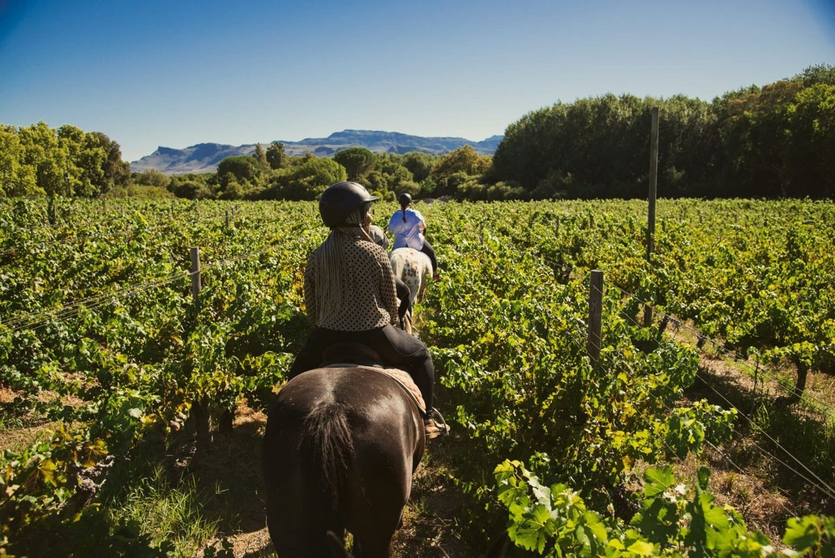 Boschendal Cow Shed Cottage Horse Riding