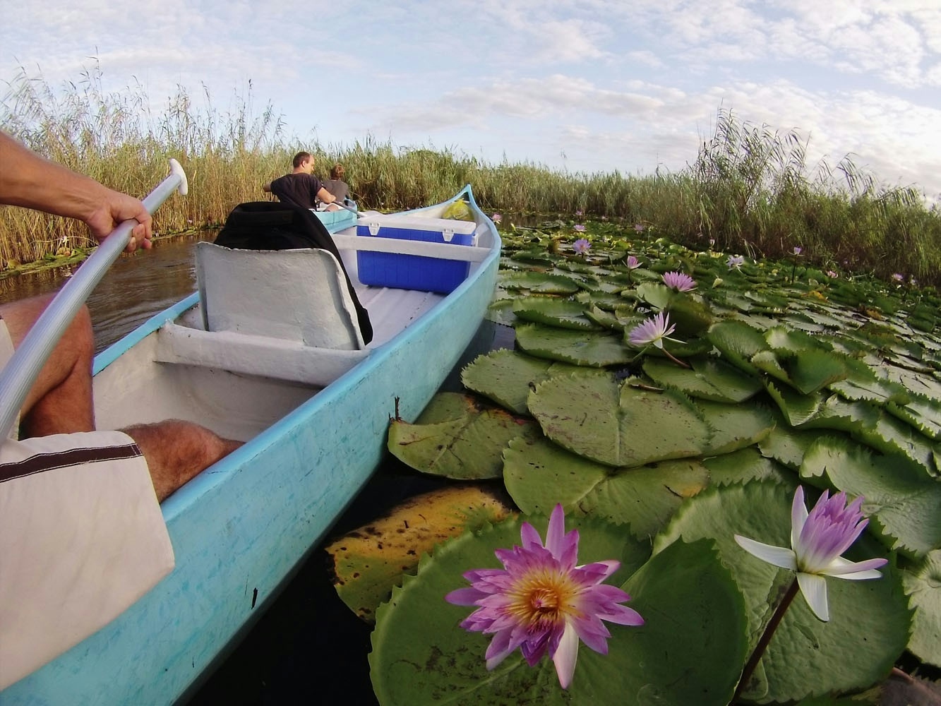 Bahia Mar Lake Exploration