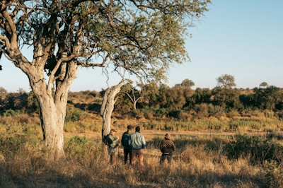 Simbavati Camp George Safari Activities