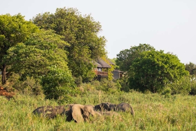 Elephant Walk Retreat Game Viewing